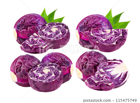 red cabbage isolated on white background red cabbage isolated on white background 115475749