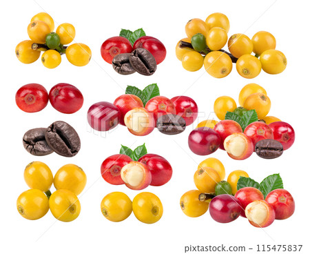 coffee beans on white background 115475837