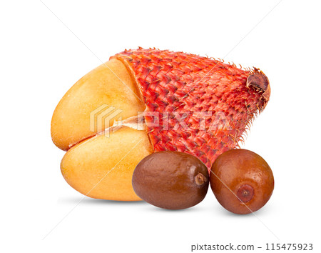 Fruit Salak with leaf isolated on white background Fruit Salak with leaf isolated on white background 115475923