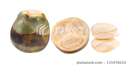 Asian Palmyra palm isolated on white background 115476019