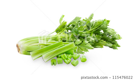 Fresh celery isolated on white background 115476022