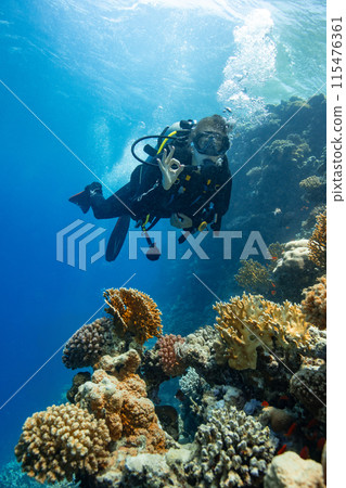 Young Woman Diver Showing OK Sign. Coral Reef with Colored Hard Corals and Fish. Young Woman Diver Showing OK Sign. Coral Reef with Colored Hard Corals and Fish. 115476361