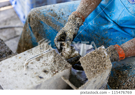 Fishermen preparing oysters Fishermen preparing oysters 115476769
