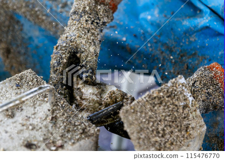 漁民正在捕撈牡蠣 漁民正在捕撈牡蠣 115476770