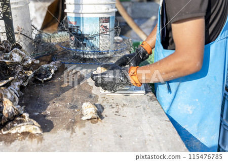 漁民正在捕撈牡蠣 115476785