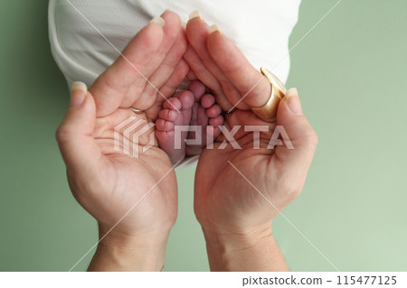 The palms of the parents, father and mother hold the legs, feet of a newborn baby in a white wrapper on a green background. Feet, heels and toes of a newborn child close -up. Professional macro photo. 115477125