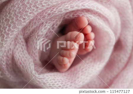 Close-up of tiny, cute, bare toes, heels and feet of a newborn girl, boy. Baby foot on pink soft coverlet, blanket. Detail of a newborn baby legs. Macro horizontal professional studio photo.  115477127