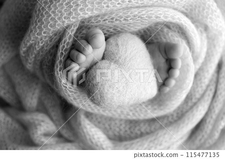 The tiny foot of a newborn baby. Soft feet of a new born in a wool blanket. Close up of toes, heels and feet of a newborn. Knitted heart in the legs of a baby Studio macro photography. Black and white The tiny foot of a newborn baby. Soft feet of a new born in a wool blanket. Close up of toes, heels and feet of a newborn. Knitted heart in the legs of a baby Studio macro photography. Black and white 115477135