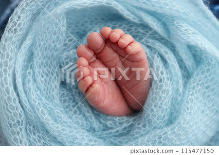 The tiny foot of a newborn baby. Soft feet of a new born in a blue wool blanket. Close up of toes, heels and feet of a newborn. Macro photography. The tiny foot of a newborn baby. Soft feet of a new born in a blue wool blanket. Close up of toes, heels and feet of a newborn. Macro photography. 115477150