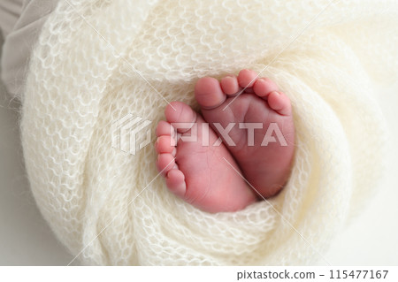 The tiny foot of a newborn baby. Soft feet of a new born in a wool white blanket. Close up of toes, heels and feet of a newborn. Macro photography. 115477167