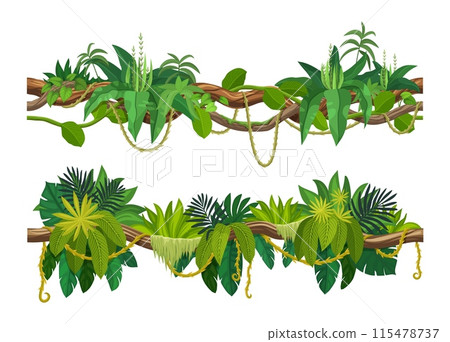 Tropical jungle forest liana vine branch. Cartoon vector leaves and hanging roots. African rainforest tree plant thicket, spinney, forest climbing green foliage. Amazon flora lianas, tropic nature 115478737
