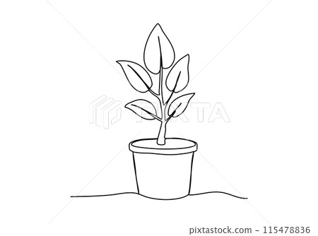Plant in a pot, one line drawing vector illustration. Plant in a pot, one line drawing vector illustration. 115478836