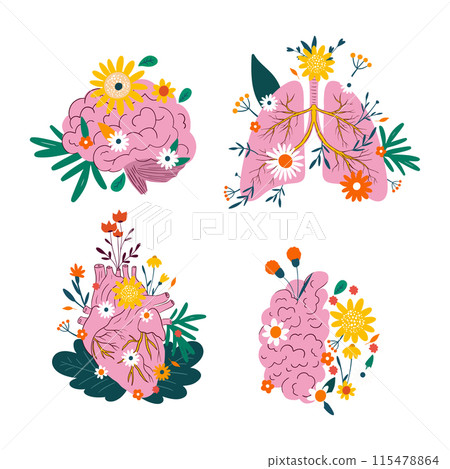 Cartoon human organs with flowers in flat style brain lungs heart health healthcare symbols 115478864