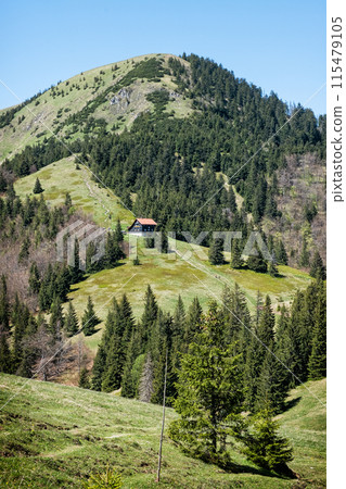Borisov hill, Big Fatra mountains scenery, Slovakia Borisov hill, Big Fatra mountains scenery, Slovakia 115479105