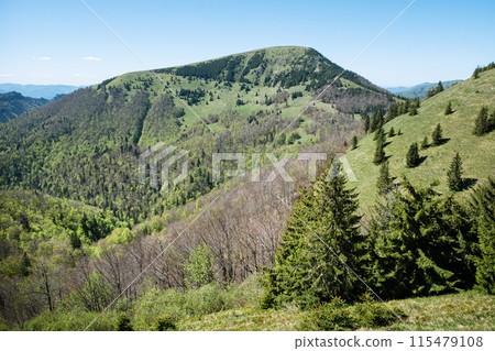 Borisov hill, Big Fatra mountains scenery, Slovakia Borisov hill, Big Fatra mountains scenery, Slovakia 115479108