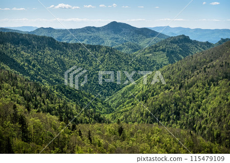 Big Fatra mountains scenery, Slovakia Big Fatra mountains scenery, Slovakia 115479109