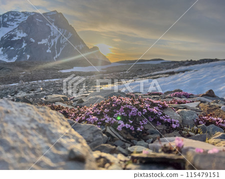 Hiking to Pointe de la Rechasse in National Park of Vanoise, France Alps 115479151