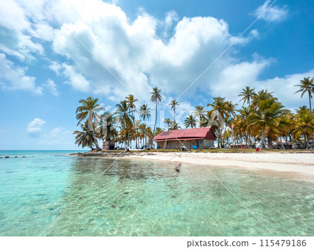 San Blas islands in Panama, tropical beach San Blas islands in Panama, tropical beach 115479186