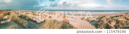 Terschelling island in the Wadden Sea - Holland or the Netherlands 115479190