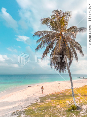 San Blas islands in Panama, tropical beach San Blas islands in Panama, tropical beach 115479197