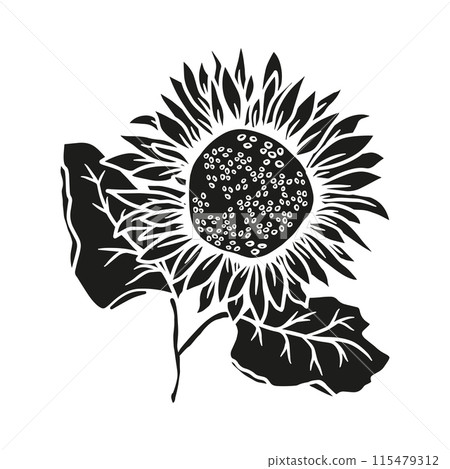 Sunflower hand drawn illustration silhouette for design for laser cut. Vector doodle floral elements Sunflower hand drawn illustration silhouette for design for laser cut. Vector doodle floral elements 115479312