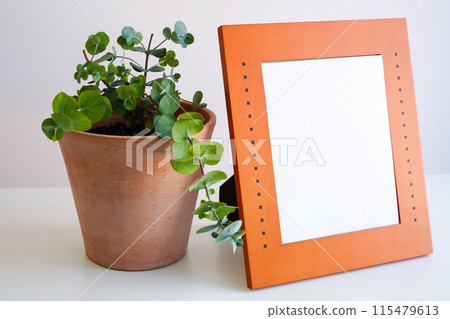 白色背景上的相框與室內植物模型 115479613