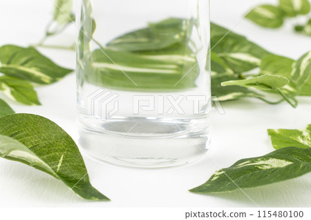 一杯水和假綠色植物。生態形象 115480100