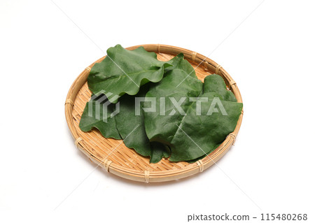 Okawakame on a basket on a white background 115480268