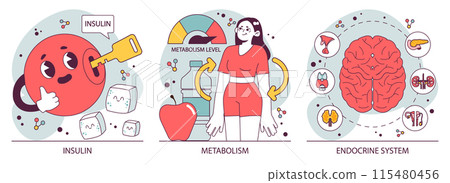 Endocrine system organs and disease set. Human glands function. Pituitary, adrenal and thyroid gland. Human hormones secretion and. balance. Metabolism regulation. Flat vector illustration 115480456