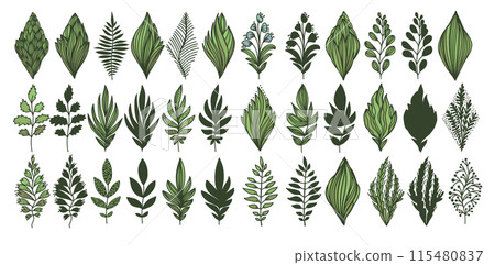 Set of graphic vintage green leaves. Botanical art design. hand drawing. Not AI, Vector illustration 115480837