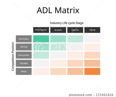 ADL Matrix or Strategic Condition Matrix to manage your portfolio by making judgements around the overall market and industry life cycle 115481828