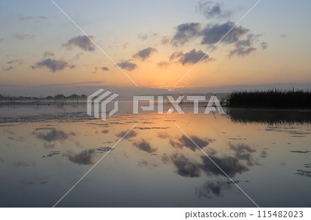 湖面被清晨的陽光染紅 115482023