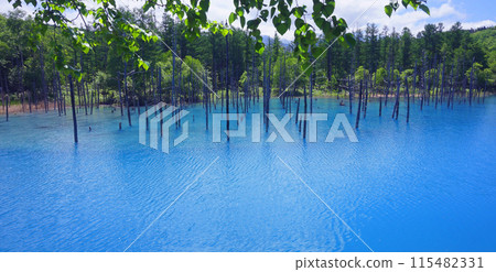 Blue pond 115482331