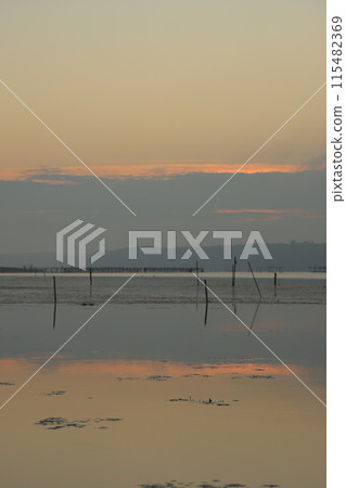 Morning on a misty swamp at sunrise 115482369