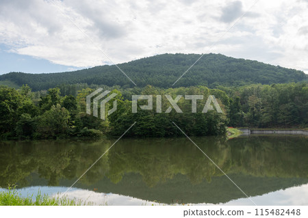 The lake reflecting the green forest in summer 115482448