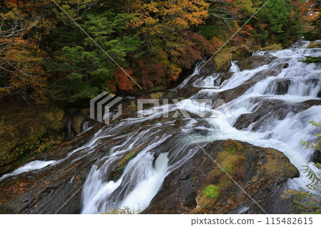 Landscape with autumn leaves Landscape with autumn leaves 115482615