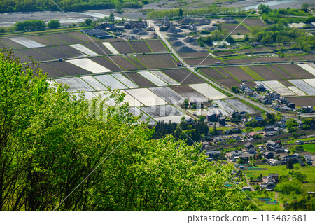 新綠和稻田【攝於安曇野市長峰山】 115482681