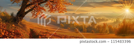 Golden Autumn Sunrise Over Misty Fields 115483396
