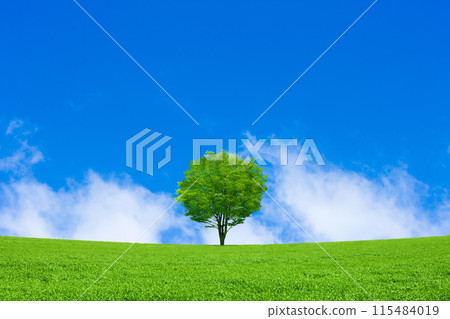 草地上的一棵樹和藍天 草地上的一棵樹和藍天 115484019
