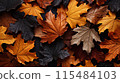 Detailed highresolution texture of vibrant autumn leaves on a tree, ideal for fall foliage concept designs. 115484103