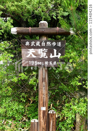[Hanno City, 195m above sea level "Tenranyama" summit marker] 115484216