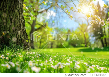 Blooming Spring Meadow Under Blue Sky 115484383