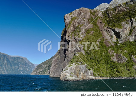 Landscape in New Zealand Fiordland, Milford Sound 115484643