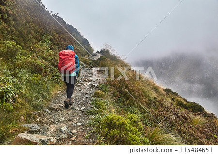 Mountain hiking trail on Routeburn track, hiker with backpack in the fog and rain 115484651