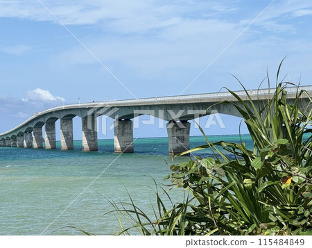 沖繩海大橋 115484849