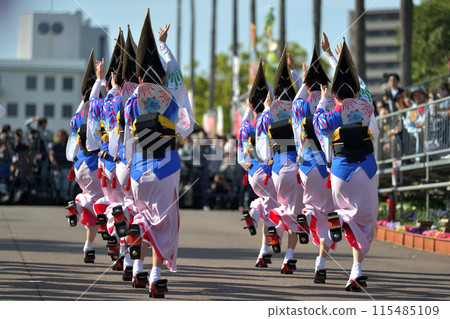 Awa Odori, Tokushima, Spring Festival "Hanaharu Festa", a famous female dance group 115485109