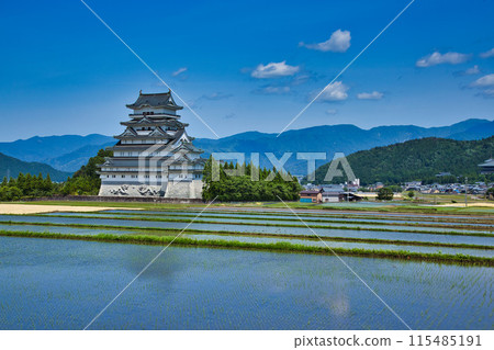 勝山城有新綠、稻田和秋麥 115485191