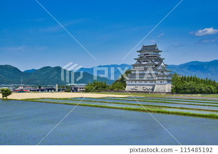 Katsuyama Castle with fresh greenery, rice fields and wheat harvest 115485192