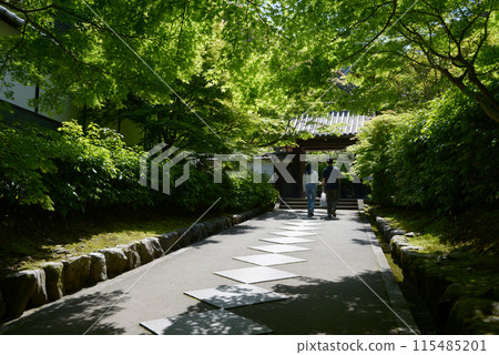 京都市左京區最勝院參道與正門 115485201