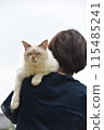 Woman carrying a kitten 115485241